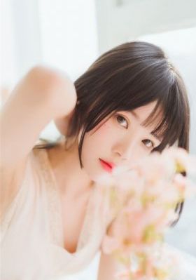 重紫电视剧免费播放_高清免费在线播放